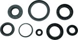 Quadboss Oil Seals 564596 QuadBoss 12-14 Arctic Cat 550 4x4 EFI Seal Set thumbnail 5