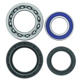 Quadboss Wheel and Carrier Bearing Seal Kits 413278 Powersports Drivetrain Kits, Wheel, Steel, Yamaha, Rear, Kit thumbnail 2