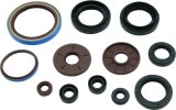 Quadboss Oil Seals 564644 QuadBoss 09-10 Arctic Cat 1000 TRV Seal Set thumbnail 3
