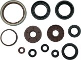 Quadboss Oil Seals 564644 QuadBoss 09-10 Arctic Cat 1000 TRV Seal Set thumbnail 6