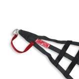 Simpson C5R Driver Window Nets DNC5RLK Net, Left Side, Triangle, Ribbon Style, Kevlar®, Black, SFI 37.1, Each thumbnail 1
