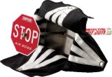 Simpson Air Boss Parachutes 42030R Parachute Assemblies, Parachutes, 8 ft. Size, Red, Each thumbnail 1