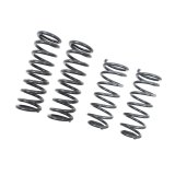 Belltech Muscle Car Coil Springs 5841 Springs, Front, Rear, Gunmetal, Ford, Set of 4 thumbnail 5