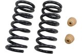 Belltech Lowering Coil Springs 4762 Springs, Front, Coil, Silver Powdercoated, Dodge, Ram, Kit thumbnail 3