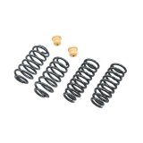 Belltech Lowering Kits 795 Suspension Kit thumbnail 2