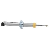 Belltech Trail Performance Struts 27007 Shocks and Struts, Strut, Front, Lifted 3.5 in., 35mm Valves, 18mm Piston Rod, 2 in. Diameter, Black Bushings, Ford, RWD/4WD, Each thumbnail 4