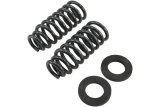 Belltech Pro Coil Lowering Spring Kits 23807 Springs, Front, Silver Powdercoated, Ford, Pair thumbnail 2