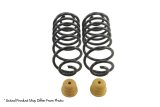 Belltech Pro Coil Lowering Spring Kits 23807 Springs, Front, Silver Powdercoated, Ford, Pair thumbnail 8