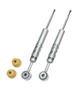 Belltech Street Performance OEM Struts SP25001 SP Strut ABSORBER Ford F-150, 2WD 04-13 thumbnail 1