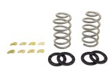 Belltech Pro Coil Lowering Spring Kits 12463 Springs, Front, Silver Powdercoated, Cadillac, Chevy, GMC, Pickup, Pair thumbnail 3