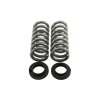 Belltech Pro Coil Lowering Spring Kits 12604 Springs, Front, Silver Powdercoated, Chevy, GMC, Pickup, RWD, Pair thumbnail 4