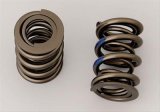 Manley Valve Springs 22155-24 SPRING-NISSAN PATROL TB48 thumbnail 1