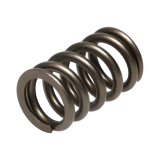 Manley Valve Springs 22155-24 SPRING-NISSAN PATROL TB48 thumbnail 5