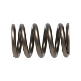 Manley Valve Springs 22155-24 SPRING-NISSAN PATROL TB48 thumbnail 9