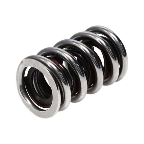 Manley Professional Valve Springs 22431-1 Springs, SPRING-1.550 CHROME SILICON