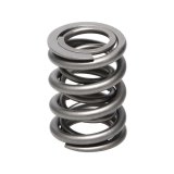 Manley Valve Springs 22160-1 Springs, SPRING-NISSAN KA24DE thumbnail 1