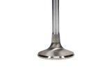 Manley Extreme Duty Series Stainless Steel Valves 11837-8 VALVE-E/D 1.950 thumbnail 6