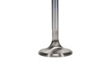 Manley Race Series Stainless Steel Valves 11531-8 Valves, Exhaust, Steel, 1.600 in. Diameter, .341 in. Stem, 4.911 in. Length, Ford, Set of 8 thumbnail 4