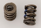 Manley NexTek Valve Springs 221424P-16 Springs, Dual, 1.640 in. Outside Diameter, 647 lbs./in. Rate, 1.070 in. Coil Bind Height, Set of 16 thumbnail 1