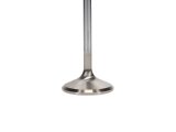 Manley Valves 11633B-8 VALVE-FD 4.6L E/D 38.5mm B/L thumbnail 5