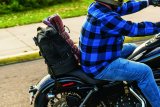 Kuryakyn Momentum Freeloader Duffle Bags 5282 Powersports Cargo Carrier, Mometum Bag, Sissy Bar Mount,18.00 in. Tall, 12.00 in. Diameter, Canvas, Black, Quick-Mount Straps, Each thumbnail 8