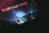 Kuryakyn LED Accent Lights 424889 Body License Plate Light LICENSE PLATE LIGHT KL 1 thumbnail 3