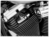 Kuryakyn Spark Plug-Head Bolt Covers 8315 Trim Accents, Covers, Steel, Chrome, Harley-Davidson®, Pair thumbnail 2