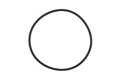 Turbosmart Wastegate Replacement Components TS-0550-3105 WG38/40 Actuator Cap O-Ring