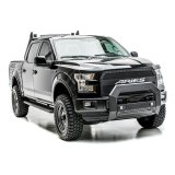 ARIES Automotive Light Mounting Bars 2163100 Bull Bar, Advantedge, Black W/LED'S, 04-17 F-150 thumbnail 4