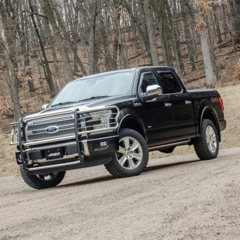 Aries Automotive Grille Guards for 2015-2020 F-150 - 3066-2 Guard, Brush Guard, Stainless Steel, Polished, Ford, Each