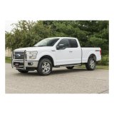 Aries Automotive Grille Guards for 2015-2020 F-150 - 3066-2 Guard, Brush Guard, Stainless Steel, Polished, Ford, Each thumbnail 4