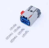 Aeromotive Wiring Connectors and Pigtails 66711 Electrical Plug, Fuel Pump Module, 6-Pin, Ford GT500 thumbnail 1