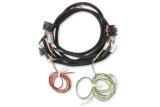 MSD Pro 600 Replacement Wiring Harnesses 80003 Ignition Timing Controller Components, Harnesses, Each thumbnail 8