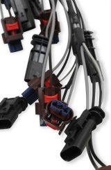 MSD Ford Coyote 2-Step Rev Limiters 87311 Multi Step Module Selectors, Limiters, 2-Step, Plastic, Black, Ford, Kit thumbnail 1