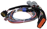 MSD Power Grid Replacement Wiring Harnesses 7780 Harness, Replacement, Ignition Timing Controller Component, Grid, Each thumbnail 1