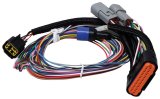 MSD Power Grid Replacement Wiring Harnesses 7780 Harness, Replacement, Ignition Timing Controller Component, Grid, Each thumbnail 2