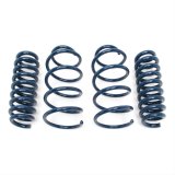 Dinan Performance Spring Sets D100-0497 Coil Springs, Sets, Lowered Ride Height, Front and Rear, 0.50 in. Lowered Front, 0.00 in. Lowered Rear, Blue, BMW, Set of 4 thumbnail 1