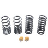 ST Suspensions Sport Springs 60090 Lowering Springs, Front and Rear, Black Powdercoated, Ford, Mercury, Set of 4 thumbnail 5