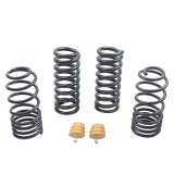 ST Suspensions Sport Springs 60090 Lowering Springs, Front and Rear, Black Powdercoated, Ford, Mercury, Set of 4 thumbnail 6