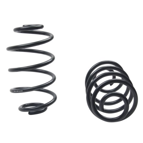 ST Suspensions Heavy-Duty and Sport Coil Springs 68310 Lowering Springs, Muscle Car, Sport, s, 1" R