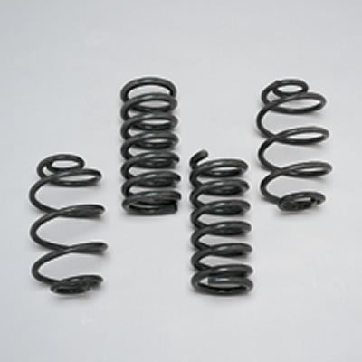 ST Suspensions Coil Springs for 1979-1986 CAPRI, 1979-1993 MUSTANG - 68720 Musclecar Springs, Rear Coil, Gunmetal, Ford, Pair