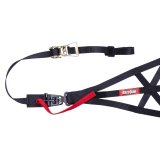RaceQuip SFI 37.1 Right Side Roll Cage Nets 828998RQP Net, Ribbon, Triangle, Black, 37.1, Quick Release, Each thumbnail 1