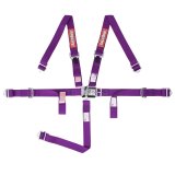 RaceQuip Jr. Dragster and Quarter Midget 5-Point Harness 709059RQP Racing Harness, Dragster, Midget, Complete, 5-Point, Latch, SFI 16.2, Polyester, Purple, Each thumbnail 1