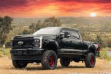 ReadyLift Suspension Lift Kits 49-23621 Kit, Front and Rear, 6 in. Lift, Front and Rear Shocks, Coil Spring for Front, Leaf Spring Block for Rear, Radius Arm, Ford, Kit thumbnail 1