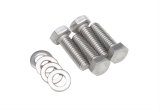 Trans-Dapt Performance Chrome Valve Cover Bolts 9423 chrome plated hex head 5/16-18x1" thumbnail 1