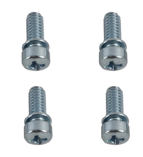 Quick Fuel Accelerator Pump Cover Screws 5-1QFT Screws, 30cc Pump, Set of 4 thumbnail 1