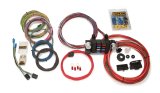 Painless Performance 18-Circuit Modular Chassis Harnesses 10308 Wiring Harness, 18-Circuit, Dash Ignition, Front Mount Fuse Block, Spade Fuse, Universal, Kit thumbnail 2