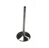 Dart Severe-Duty Stainless Steel Valves 21312020 INTAKE VALVE, Each thumbnail 2