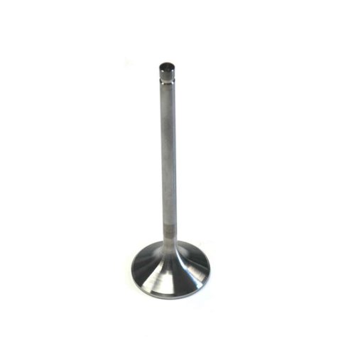 Dart Severe-Duty Stainless Steel Valves 21311600 Valves, Severe Duty, Exhaust, Steel, 1.600 in. Head Diameter, Chevy, Small Block, Each thumbnail 2