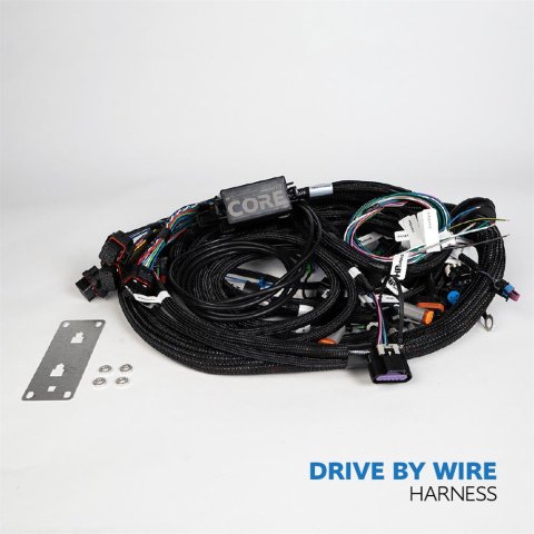 HP Tuners CORE LS Drive-By-Wire ECU Harnesses COR-HAR-002 Wiring Harnesses, ECU, Terminated, Drive-By-Wire, Chevrolet, Gen IV LS, LSX, 58X/4X Main Harness, Each thumbnail 1